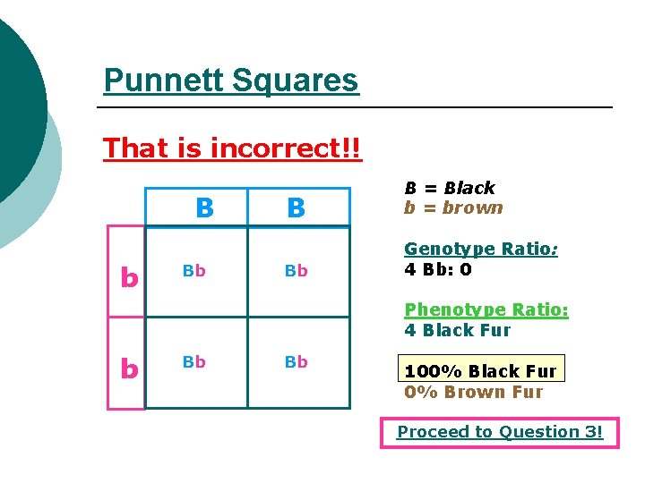 Punnett Squares That is incorrect!! B b Bb B B = Black b =