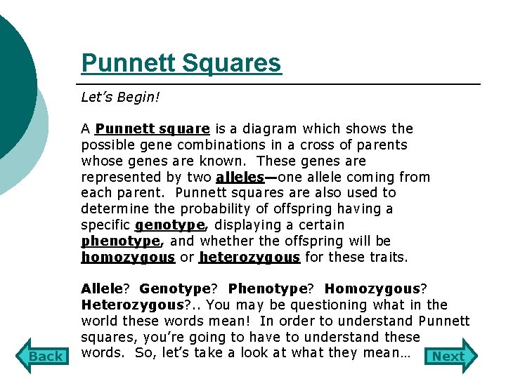 Punnett Squares Let’s Begin! A Punnett square is a diagram which shows the possible