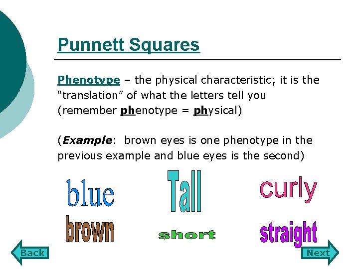 Punnett Squares Phenotype – the physical characteristic; it is the “translation” of what the