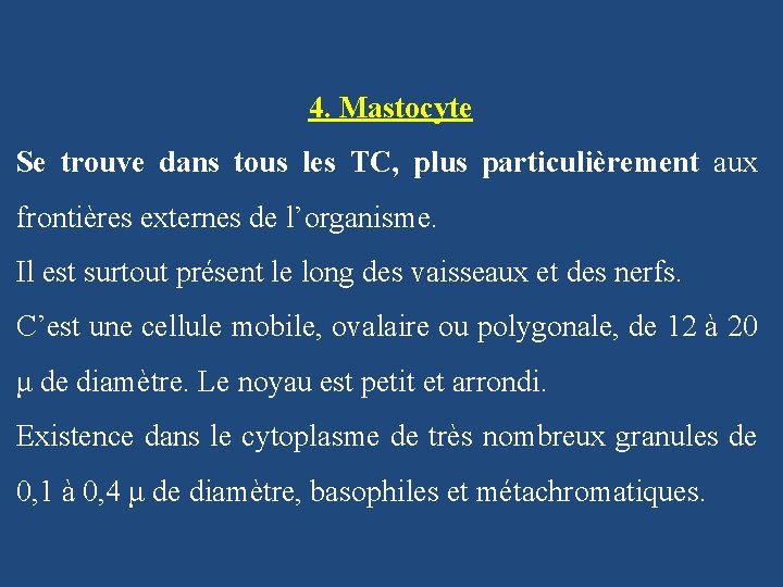 4. Mastocyte Se trouve dans tous les TC, plus particulièrement aux frontières externes de