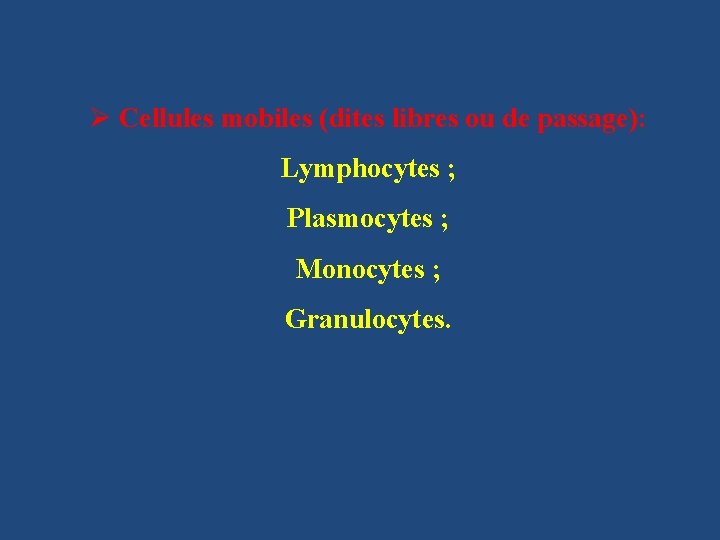 Ø Cellules mobiles (dites libres ou de passage): Lymphocytes ; Plasmocytes ; Monocytes ;