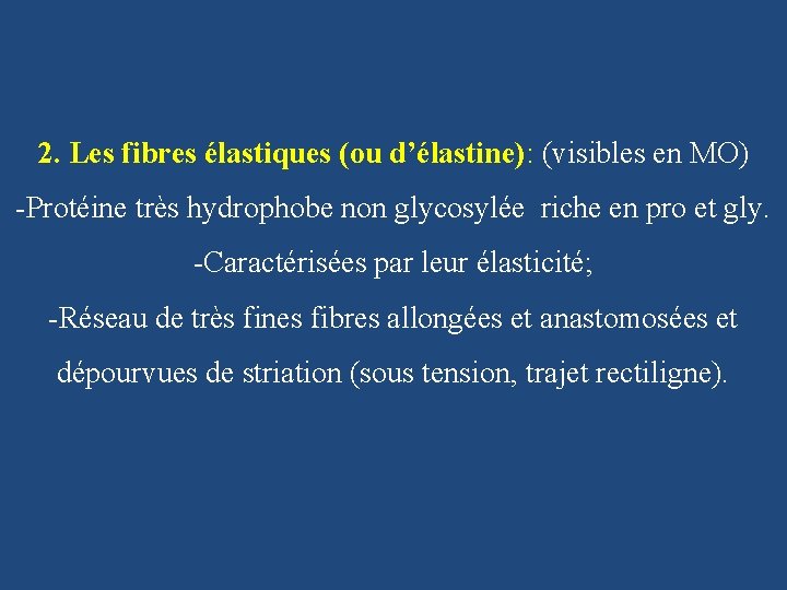 2. Les fibres élastiques (ou d’élastine): (visibles en MO) -Protéine très hydrophobe non glycosylée