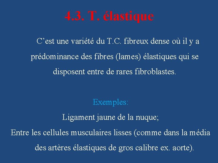 4. 3. T. élastique 4. 3. C’est une variété du T. C. fibreux dense