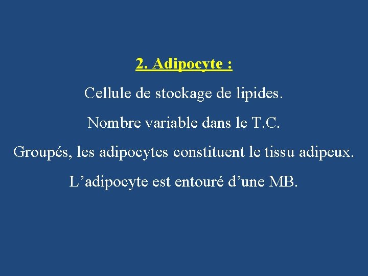 2. Adipocyte : Cellule de stockage de lipides. Nombre variable dans le T. C.