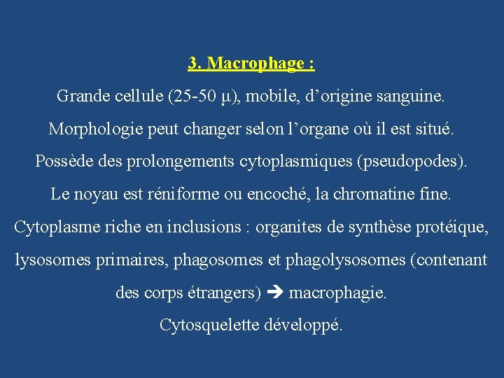 3. Macrophage : Grande cellule (25 -50 μ), mobile, d’origine sanguine. Morphologie peut changer