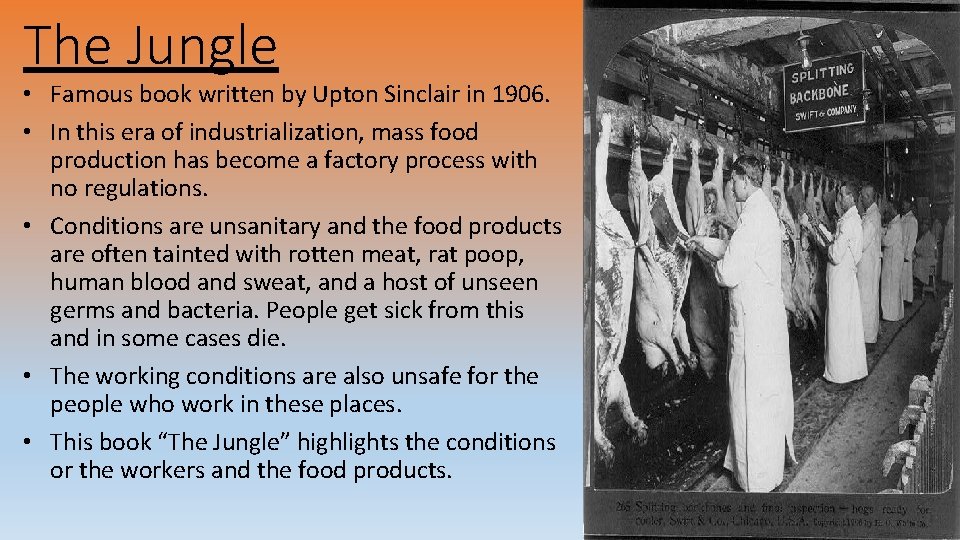 The Jungle • Famous book written by Upton Sinclair in 1906. • In this