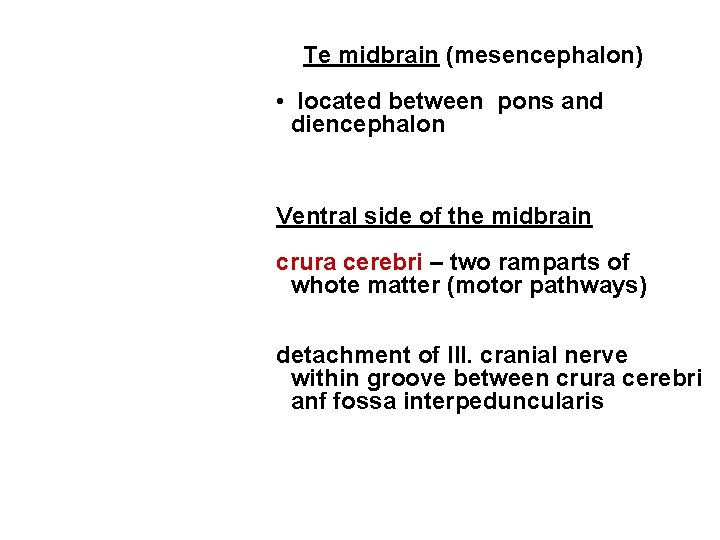 Te midbrain (mesencephalon) • located between pons and diencephalon Ventral side of the midbrain