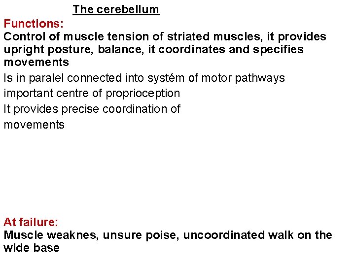 The cerebellum Functions: Control of muscle tension of striated muscles, it provides upright posture,