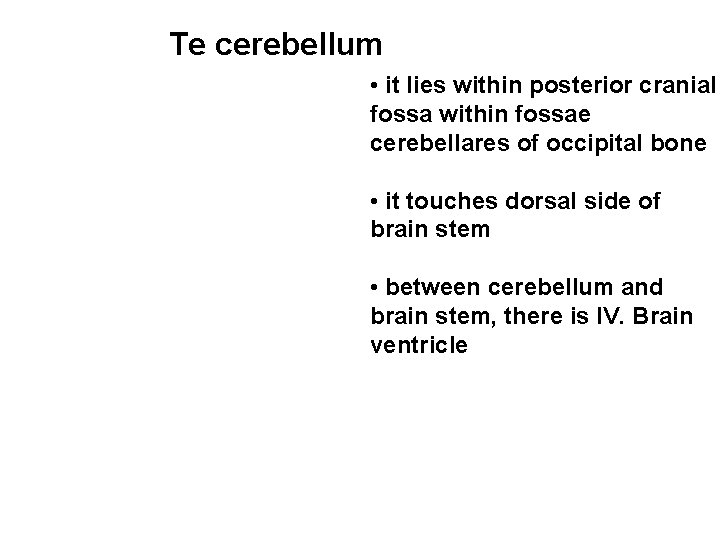 Te cerebellum • it lies within posterior cranial fossa within fossae cerebellares of occipital