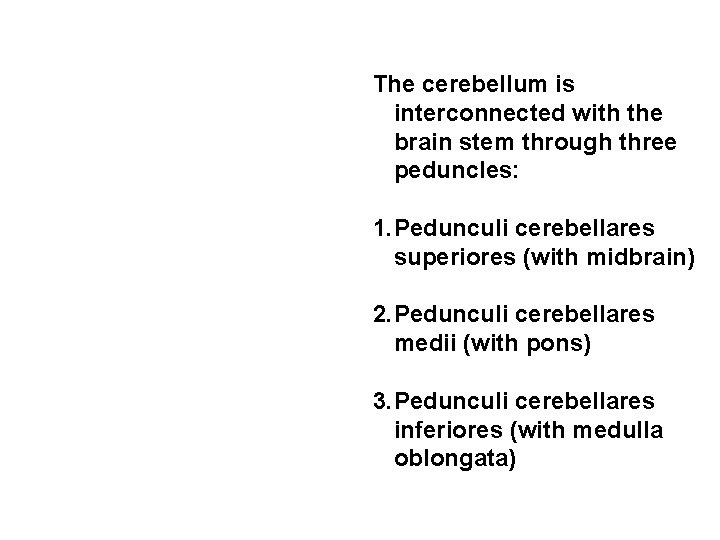 The cerebellum is interconnected with the brain stem through three peduncles: 1. Pedunculi cerebellares