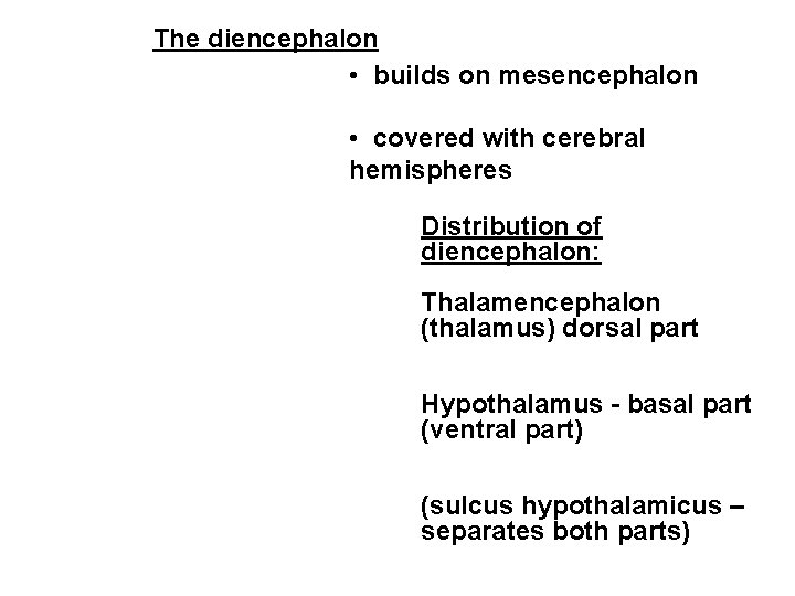 The diencephalon • builds on mesencephalon • covered with cerebral hemispheres Distribution of diencephalon:
