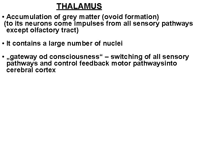 THALAMUS • Accumulation of grey matter (ovoid formation) (to its neurons come impulses from