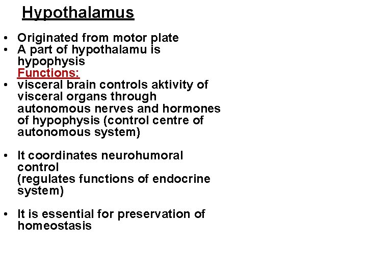 Hypothalamus • Originated from motor plate • A part of hypothalamu is hypophysis Functions: