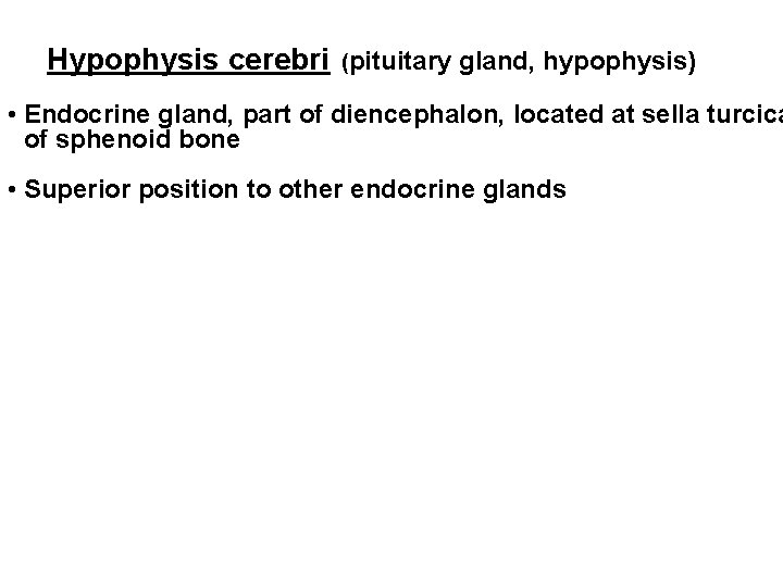Hypophysis cerebri (pituitary gland, hypophysis) • Endocrine gland, part of diencephalon, located at sella
