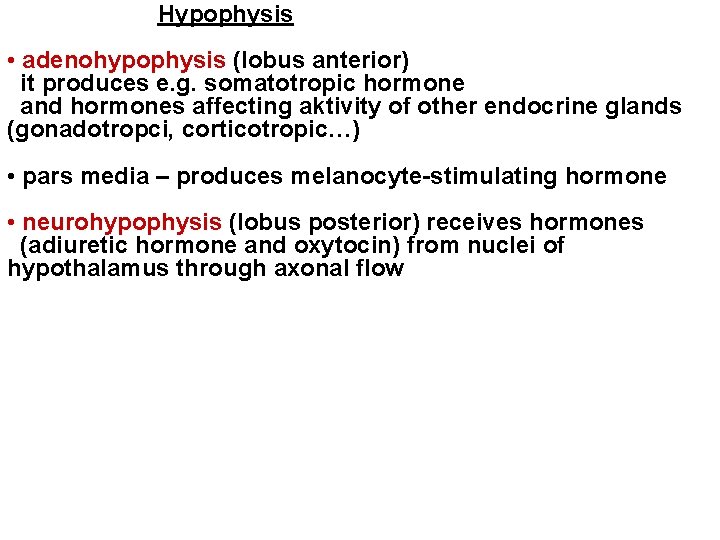 Hypophysis • adenohypophysis (lobus anterior) it produces e. g. somatotropic hormone and hormones affecting