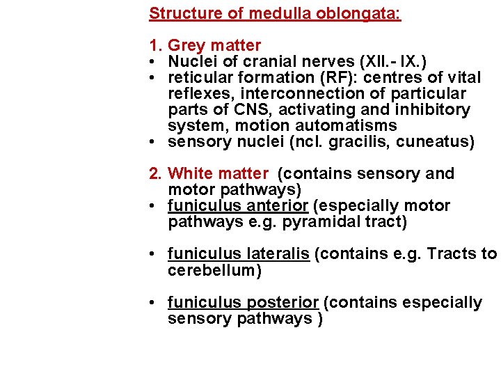 Structure of medulla oblongata: 1. Grey matter • Nuclei of cranial nerves (XII. -