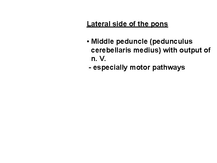 Lateral side of the pons • Middle peduncle (pedunculus cerebellaris medius) with output of