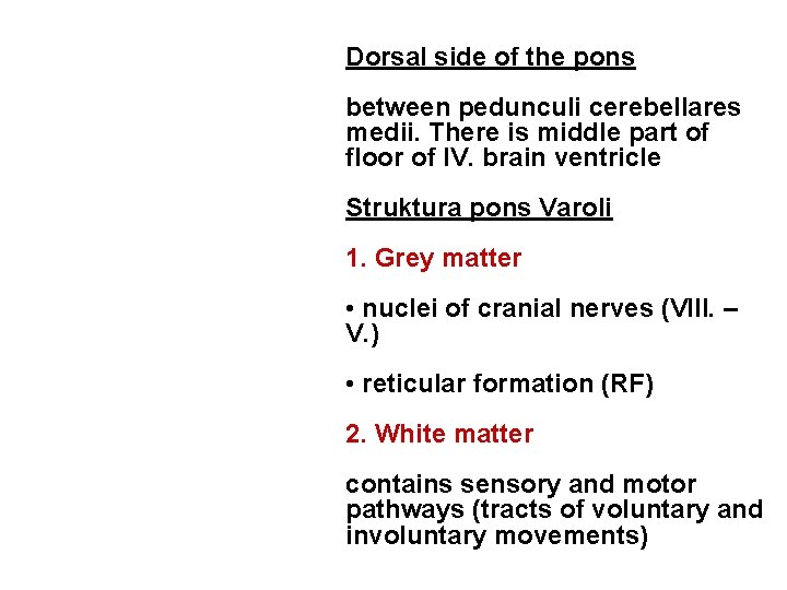 Dorsal side of the pons between pedunculi cerebellares medii. There is middle part of