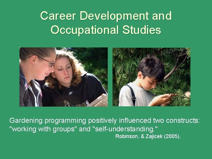 Career Development and Occupational Studies Gardening programming positively influenced two constructs: "working with groups"