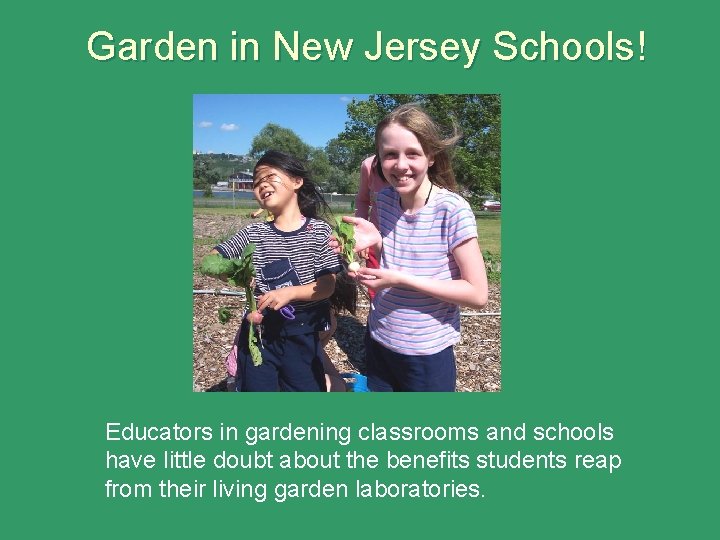 Garden in New Jersey Schools! Educators in gardening classrooms and schools have little doubt
