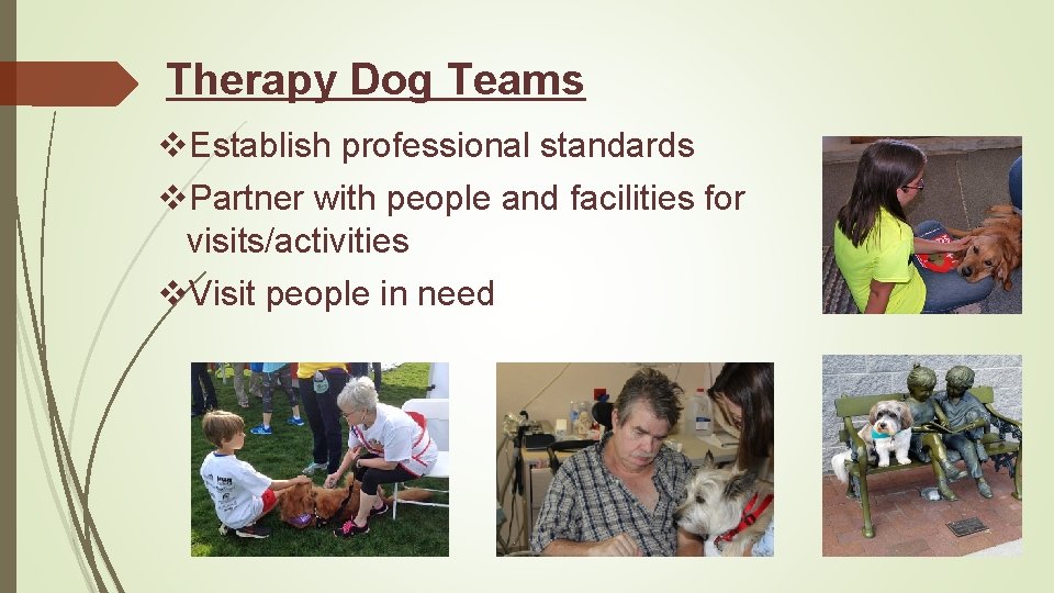 Therapy Dog Teams v. Establish professional standards v. Partner with people and facilities for