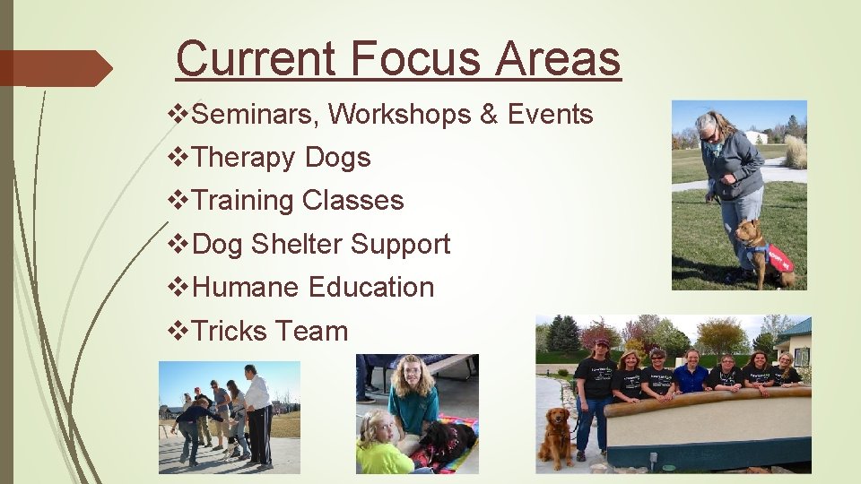 Current Focus Areas v. Seminars, Workshops & Events v. Therapy Dogs v. Training Classes