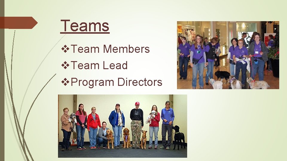 Teams v. Team Members v. Team Lead v. Program Directors 