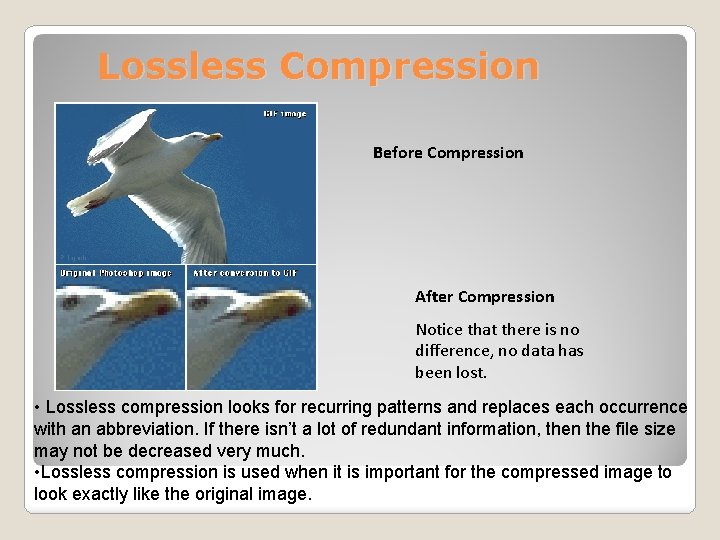 Lossless Compression Before Compression After Compression Notice that there is no difference, no data