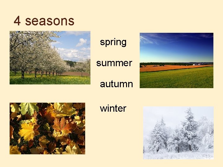 4 seasons spring summer autumn winter 
