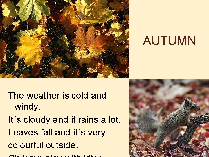 AUTUMN The weather is cold and windy. It´s cloudy and it rains a lot.