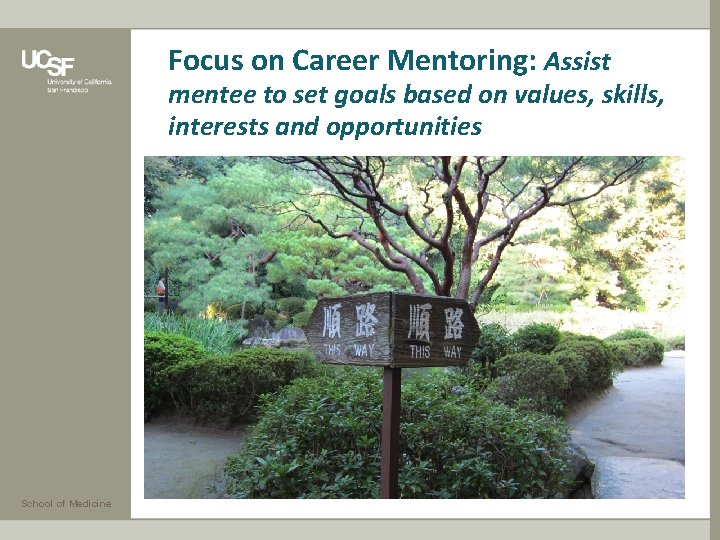 Focus on Career Mentoring: Assist mentee to set goals based on values, skills, interests