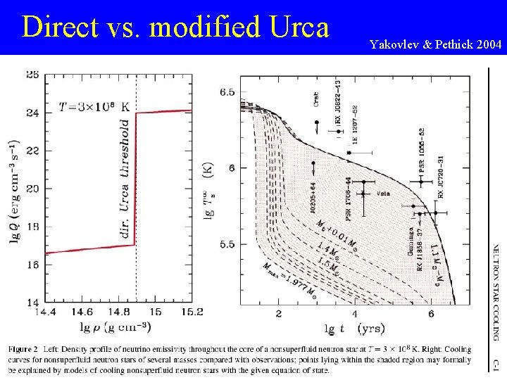 Direct vs. modified Urca Yakovlev & Pethick 2004 