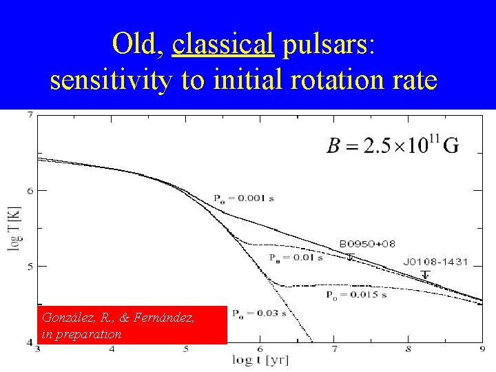 Old, classical pulsars: sensitivity to initial rotation rate González, R. , & Fernández, in