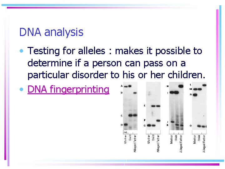 DNA analysis • Testing for alleles : makes it possible to determine if a