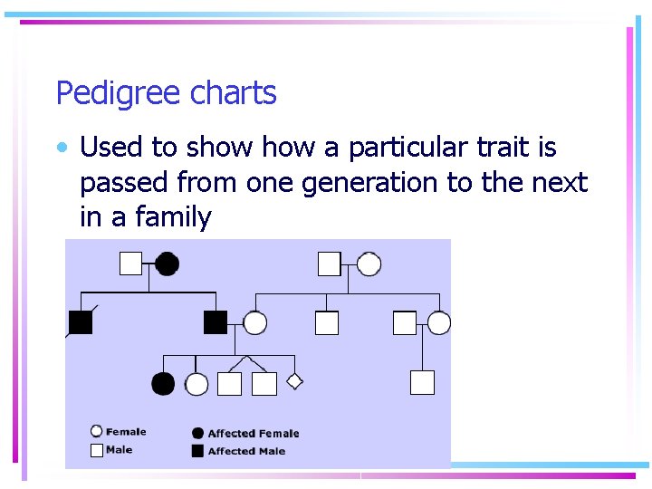 Pedigree charts • Used to show a particular trait is passed from one generation