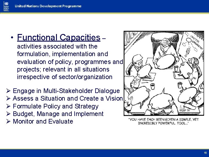  • Functional Capacities – activities associated with the formulation, implementation and evaluation of