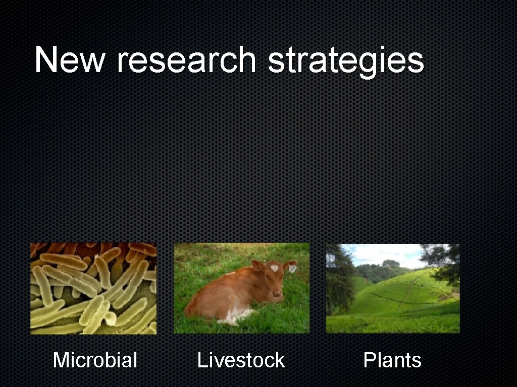 New research strategies Microbial Livestock Plants 