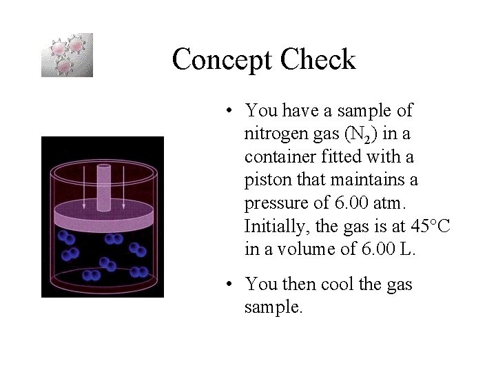 Concept Check • You have a sample of nitrogen gas (N 2) in a