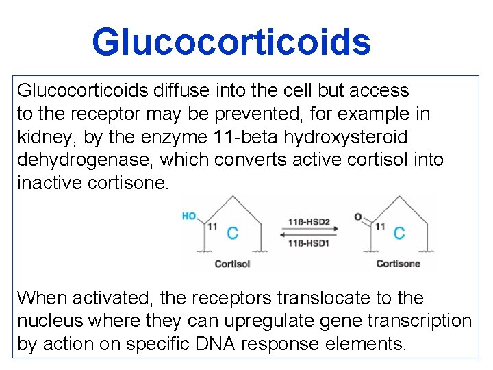 Glucocorticoids diffuse into the cell but access to the receptor may be prevented, for