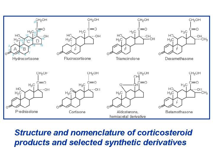 Structure and nomenclature of corticosteroid products and selected synthetic derivatives 
