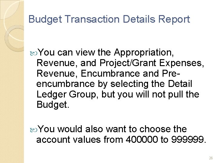 Budget Transaction Details Report You can view the Appropriation, Revenue, and Project/Grant Expenses, Revenue,