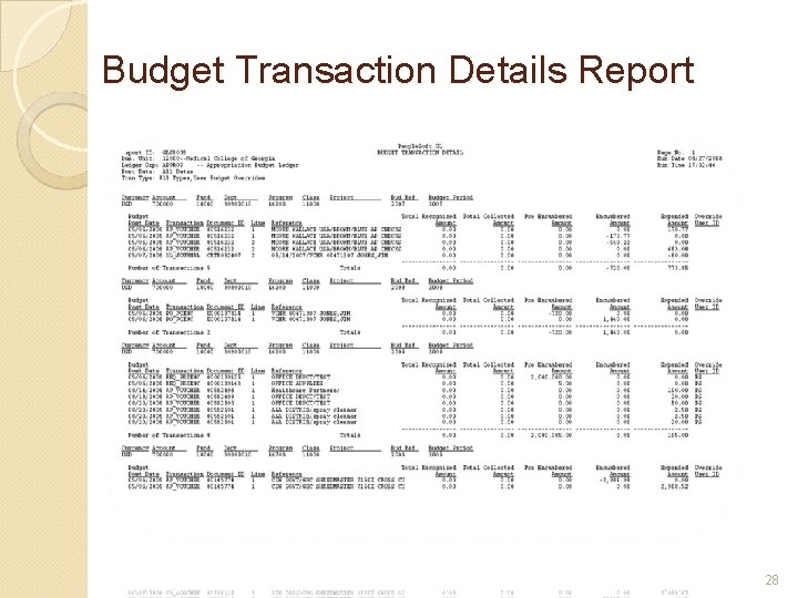 Budget Transaction Details Report 28 