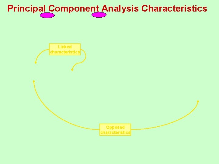 Principal Component Analysis Characteristics Linked characteristics Opposed characteristics 