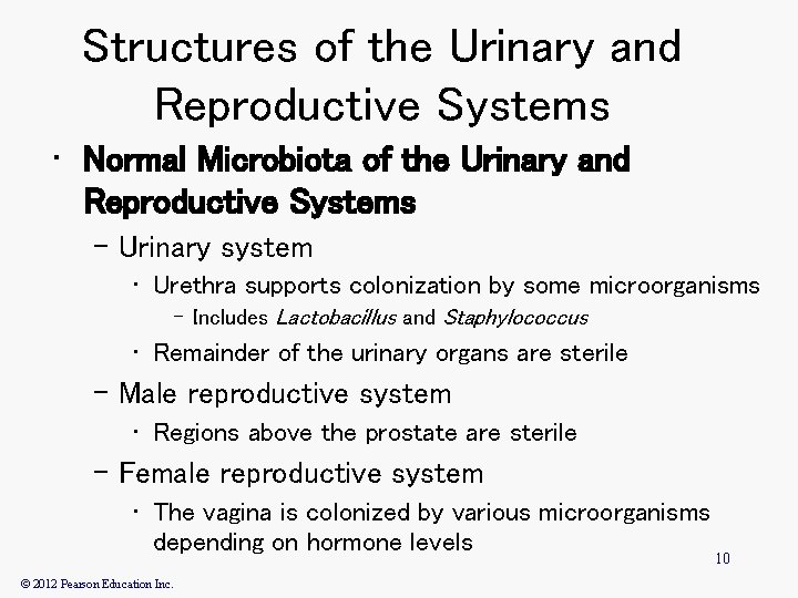 Structures of the Urinary and Reproductive Systems • Normal Microbiota of the Urinary and