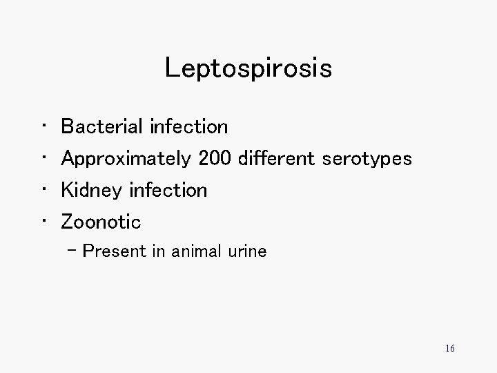 Leptospirosis • • Bacterial infection Approximately 200 different serotypes Kidney infection Zoonotic – Present