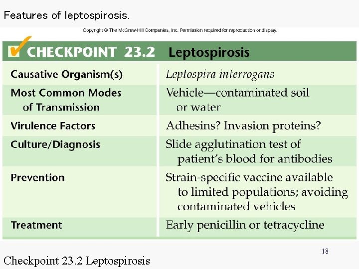 Features of leptospirosis. Checkpoint 23. 2 Leptospirosis 18 
