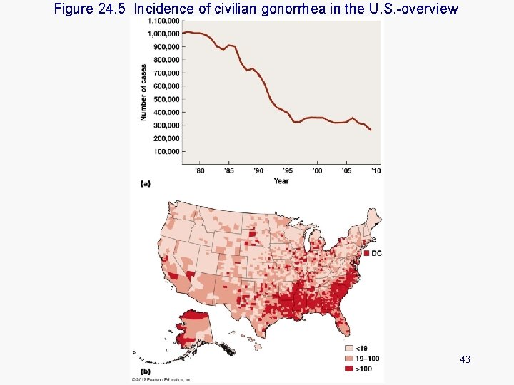 Figure 24. 5 Incidence of civilian gonorrhea in the U. S. -overview 43 