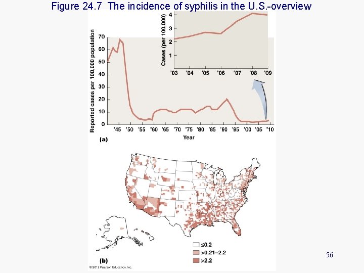 Figure 24. 7 The incidence of syphilis in the U. S. -overview 56 