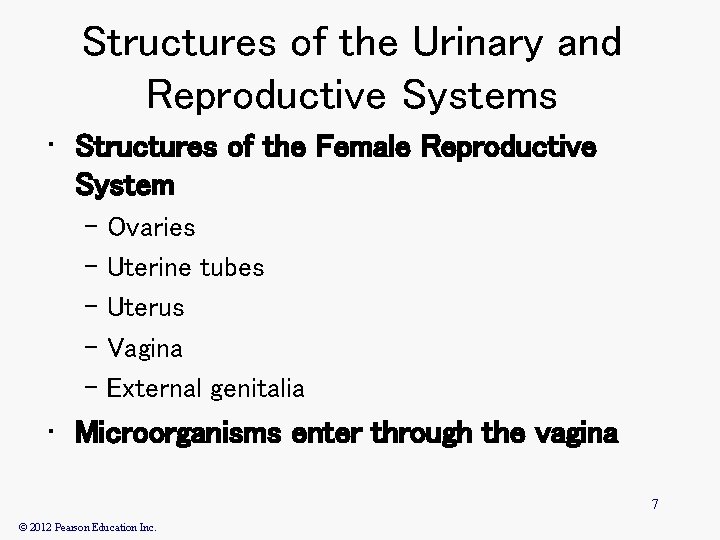 Structures of the Urinary and Reproductive Systems • Structures of the Female Reproductive System