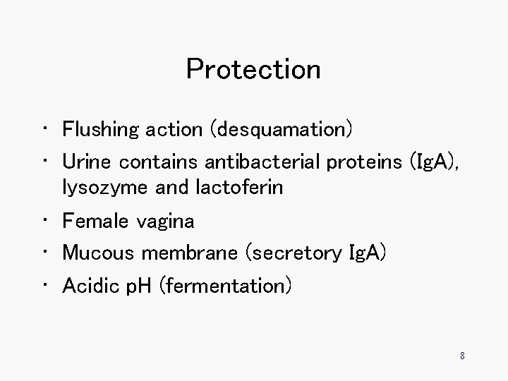 Protection • Flushing action (desquamation) • Urine contains antibacterial proteins (Ig. A), lysozyme and